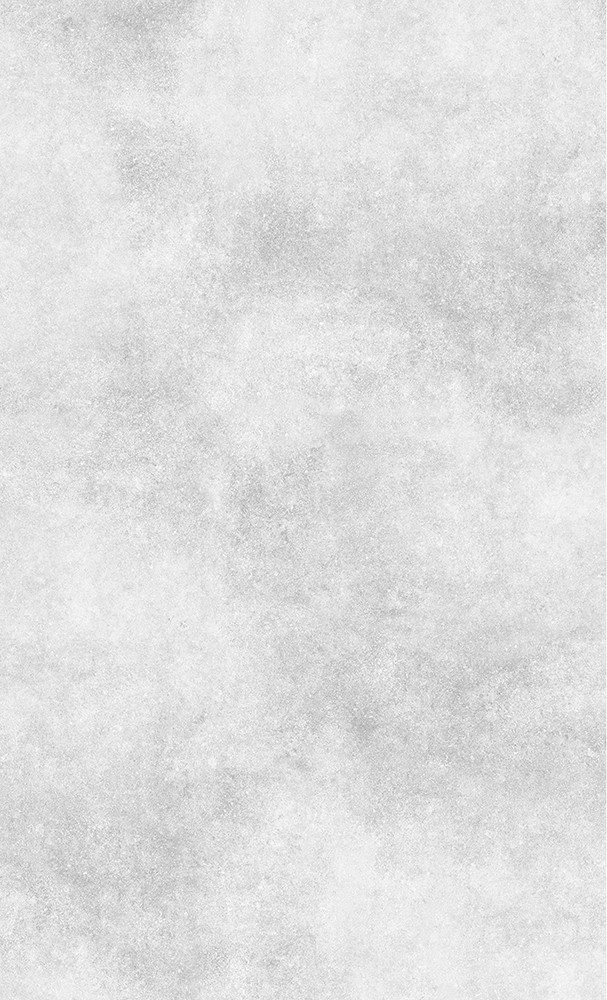 PIETRA LIGHT GRAY